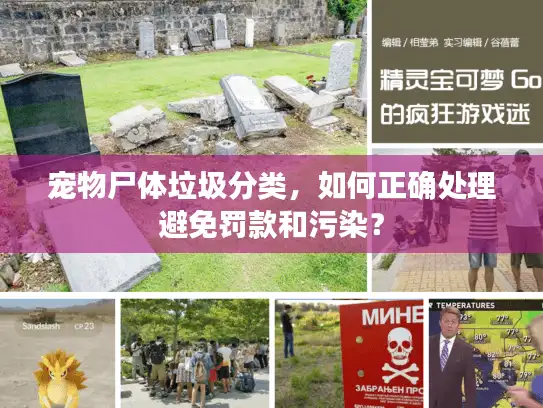 宠物尸体垃圾分类,如何正确处理避免罚款和污染? 宠物尸体垃圾分类,如何正确处理避免罚款和污染?