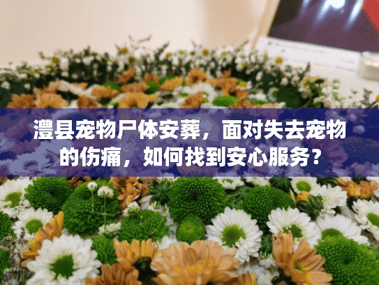 澧县宠物尸体安葬，面对失去宠物的伤痛，如何找到安心服务？