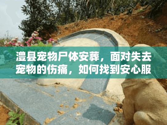 澧县宠物尸体安葬，面对失去宠物的伤痛，如何找到安心服务？