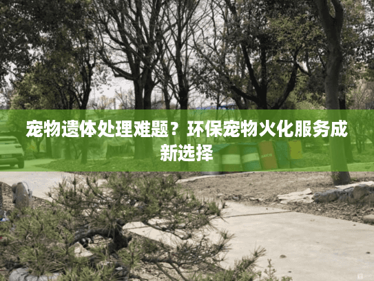 宠物遗体处理难题?环保宠物火化服务成新选择 宠物遗体处理难题?环保宠物火化服务成新选择