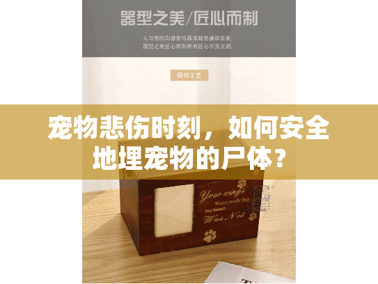 宠物悲伤时刻，如何安全地埋宠物的尸体？