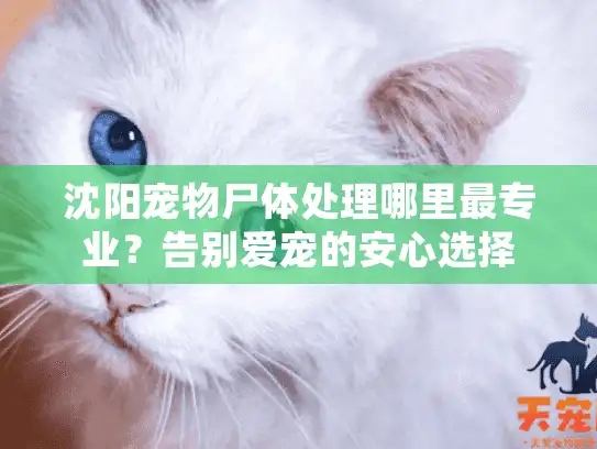 沈阳宠物尸体处理哪里最专业？告别爱宠的安心选择