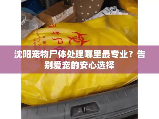 沈阳宠物尸体处理哪里最专业？告别爱宠的安心选择