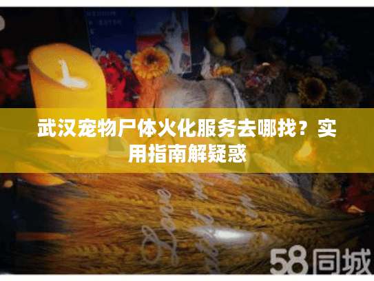 武汉宠物尸体火化服务去哪找?实用指南解疑惑 武汉宠物尸体火化服务去哪找?实用指南解疑惑
