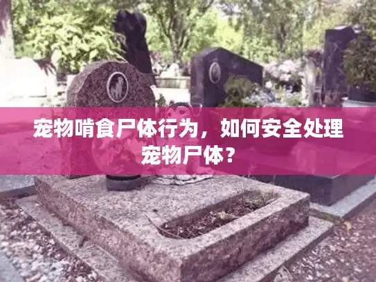 宠物啃食尸体行为,如何安全处理宠物尸体? 宠物啃食尸体行为,如何安全处理宠物尸体?