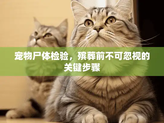 宠物尸体检验,殡葬前不可忽视的关键步骤 宠物尸体检验,殡葬前不可忽视的关键步骤