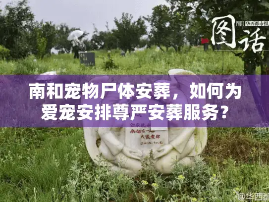 南和宠物尸体安葬，如何为爱宠安排尊严安葬服务？
