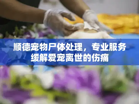 顺德宠物尸体处理，专业服务缓解爱宠离世的伤痛