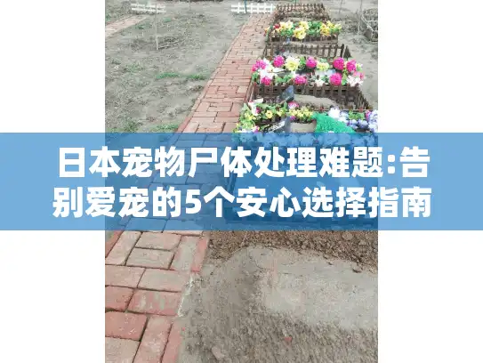 日本宠物尸体处理难题:告别爱宠的5个安心选择指南 日本宠物尸体处理难题:告别爱宠的5个安心选择指南