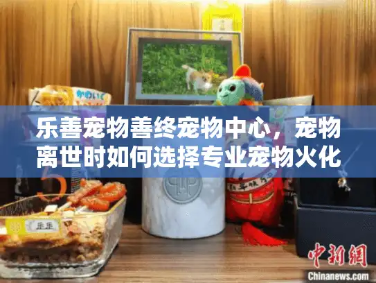 乐善宠物善终宠物中心,宠物离世时如何选择专业宠物火化服务? 乐善宠物善终宠物中心,宠物离世时如何选择专业宠物火化服务?