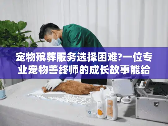 宠物殡葬服务选择困难?一位专业宠物善终师的成长故事能给你答案