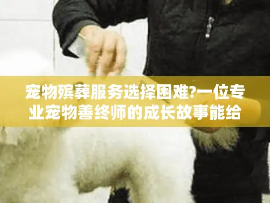 宠物殡葬服务选择困难?一位专业宠物善终师的成长故事能给你答案