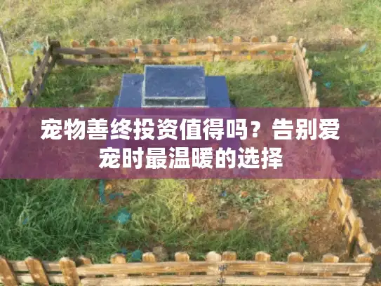 宠物善终投资值得吗?告别爱宠时最温暖的选择 宠物善终投资值得吗?告别爱宠时最温暖的选择