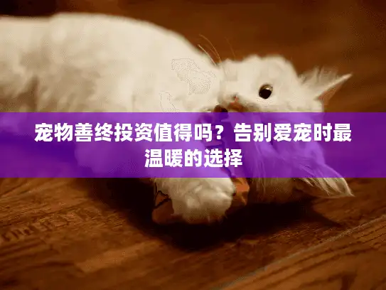 宠物善终投资值得吗?告别爱宠时最温暖的选择 宠物善终投资值得吗?告别爱宠时最温暖的选择