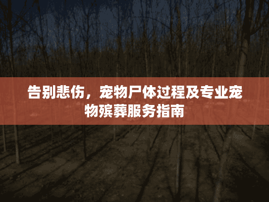 告别悲伤，宠物尸体过程及专业宠物殡葬服务指南