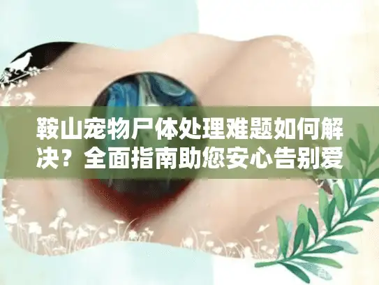 鞍山宠物尸体处理难题如何解决？全面指南助您安心告别爱宠