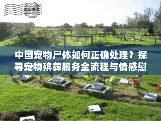 中国宠物尸体如何正确处理?探寻宠物殡葬服务全流程与情感慰藉 中国宠物尸体如何正确处理?探寻宠物殡葬服务全流程与情感慰藉