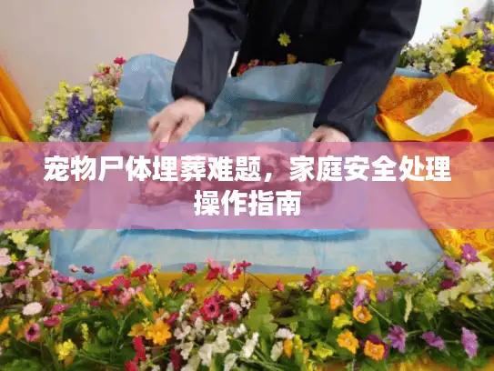 宠物尸体埋葬难题,家庭安全处理操作指南 宠物尸体埋葬难题,家庭安全处理操作指南