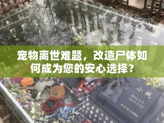 宠物离世难题，改造尸体如何成为您的安心选择？