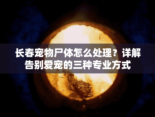 长春宠物尸体怎么处理？详解告别爱宠的三种专业方式