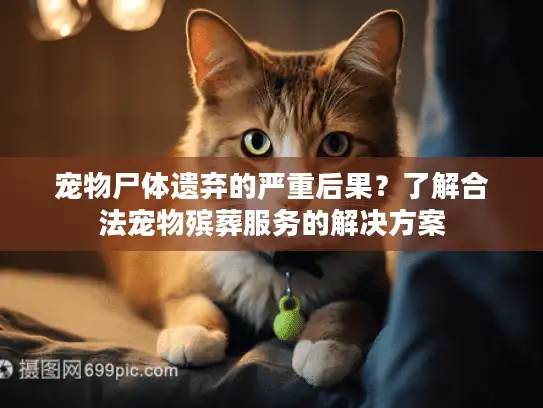 宠物尸体遗弃的严重后果？了解合法宠物殡葬服务的解决方案