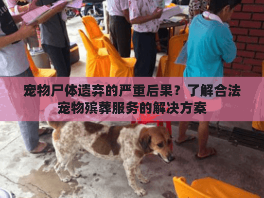 宠物尸体遗弃的严重后果？了解合法宠物殡葬服务的解决方案