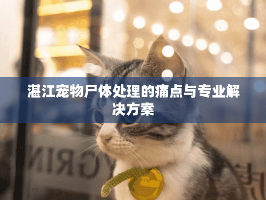 湛江宠物尸体处理的痛点与专业解决方案