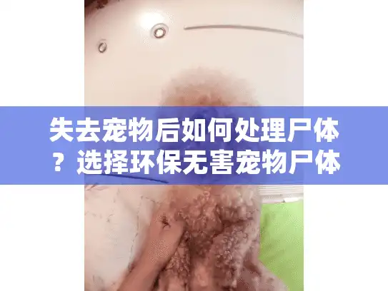 失去宠物后如何处理尸体?选择环保无害宠物尸体袋子的正确方法 失去宠物后如何处理尸体?选择环保无害宠物尸体袋子的正确方法