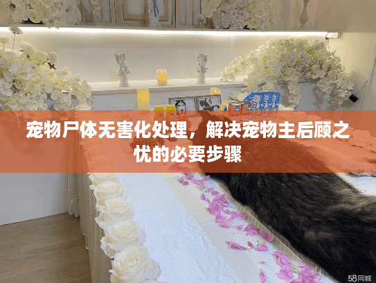宠物尸体无害化处理，解决宠物主后顾之忧的必要步骤