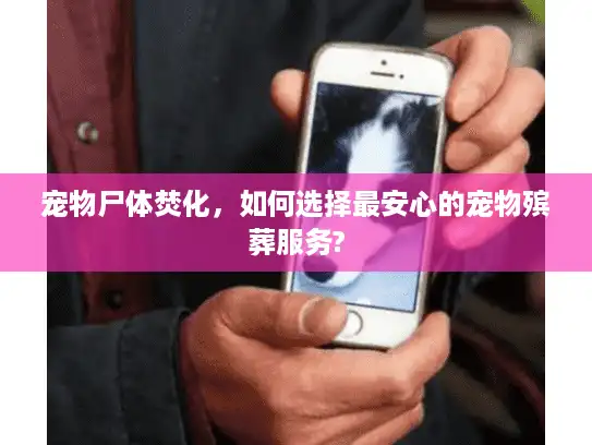 宠物尸体焚化，如何选择最安心的宠物殡葬服务?