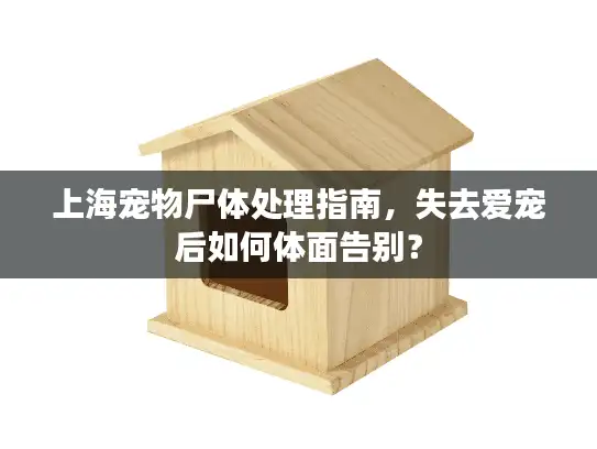 上海宠物尸体处理指南，失去爱宠后如何体面告别？