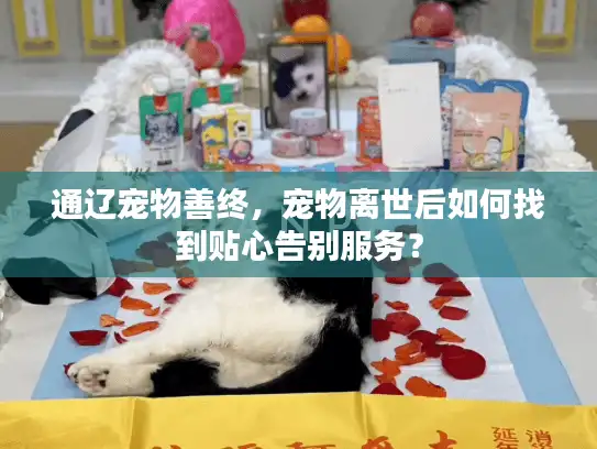 通辽宠物善终，宠物离世后如何找到贴心告别服务？