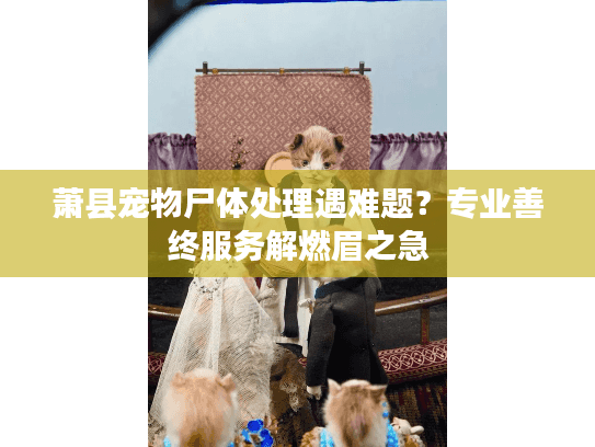 萧县宠物尸体处理遇难题？专业善终服务解燃眉之急