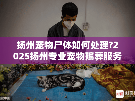 扬州宠物尸体如何处理?2025扬州专业宠物殡葬服务指南