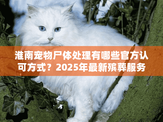 淮南宠物尸体处理有哪些官方认可方式?2025年最新殡葬服务指南 淮南宠物尸体处理有哪些官方认可方式?2025年最新殡葬服务指南