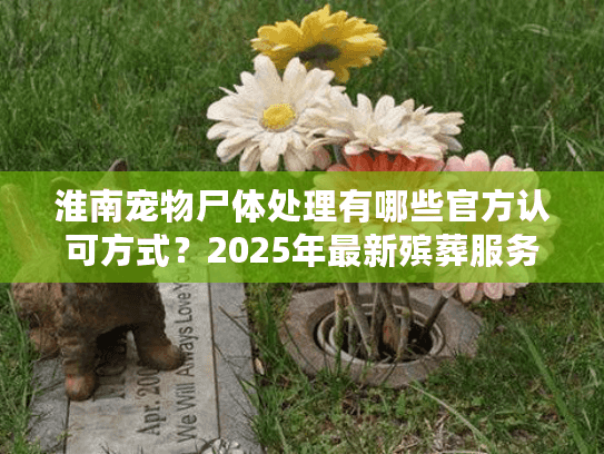 淮南宠物尸体处理有哪些官方认可方式?2025年最新殡葬服务指南 淮南宠物尸体处理有哪些官方认可方式?2025年最新殡葬服务指南