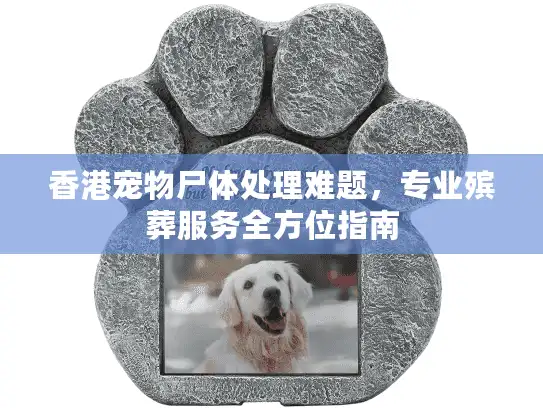 香港宠物尸体处理难题,专业殡葬服务全方位指南 香港宠物尸体处理难题,专业殡葬服务全方位指南