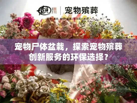 宠物尸体盆栽，探索宠物殡葬创新服务的环保选择？