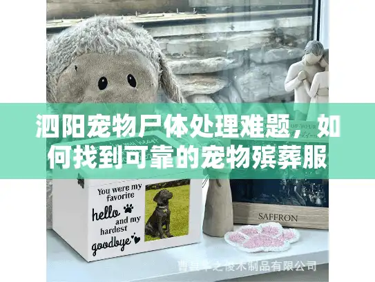泗阳宠物尸体处理难题,如何找到可靠的宠物殡葬服务? 泗阳宠物尸体处理难题,如何找到可靠的宠物殡葬服务?