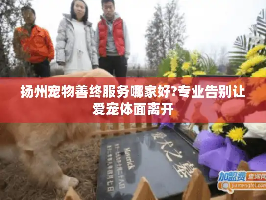 扬州宠物善终服务哪家好?专业告别让爱宠体面离开
