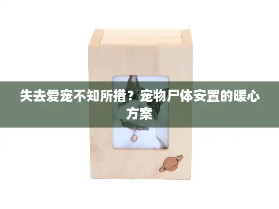 失去爱宠不知所措？宠物尸体安置的暖心方案