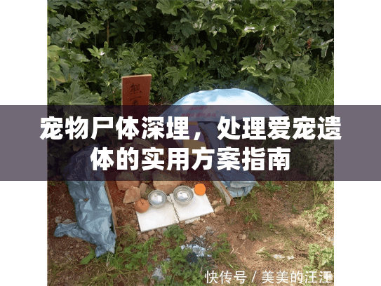 宠物尸体深埋，处理爱宠遗体的实用方案指南