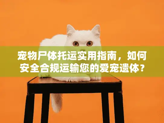 宠物尸体托运实用指南，如何安全合规运输您的爱宠遗体？