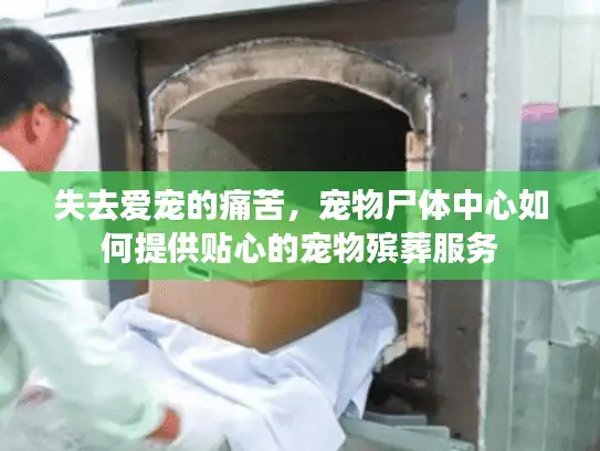 失去爱宠的痛苦，宠物尸体中心如何提供贴心的宠物殡葬服务