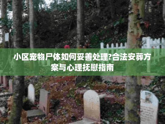 小区宠物尸体如何妥善处理?合法安葬方案与心理抚慰指南