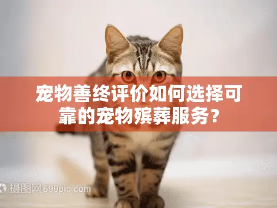 宠物善终评价如何选择可靠的宠物殡葬服务? 宠物善终评价如何选择可靠的宠物殡葬服务?