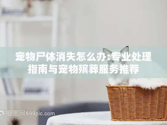 宠物尸体消失怎么办:专业处理指南与宠物殡葬服务推荐