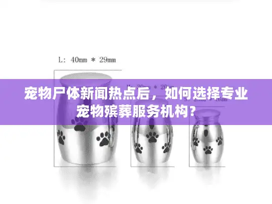 宠物尸体新闻热点后，如何选择专业宠物殡葬服务机构？