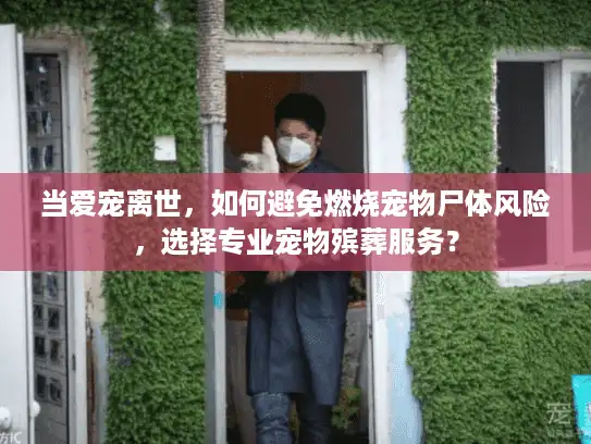 当爱宠离世，如何避免燃烧宠物尸体风险，选择专业宠物殡葬服务？
