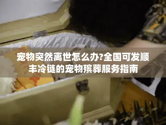 宠物突然离世怎么办?全国可发顺丰冷链的宠物殡葬服务指南